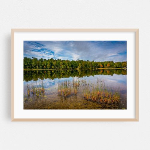 Toddy Pond 02