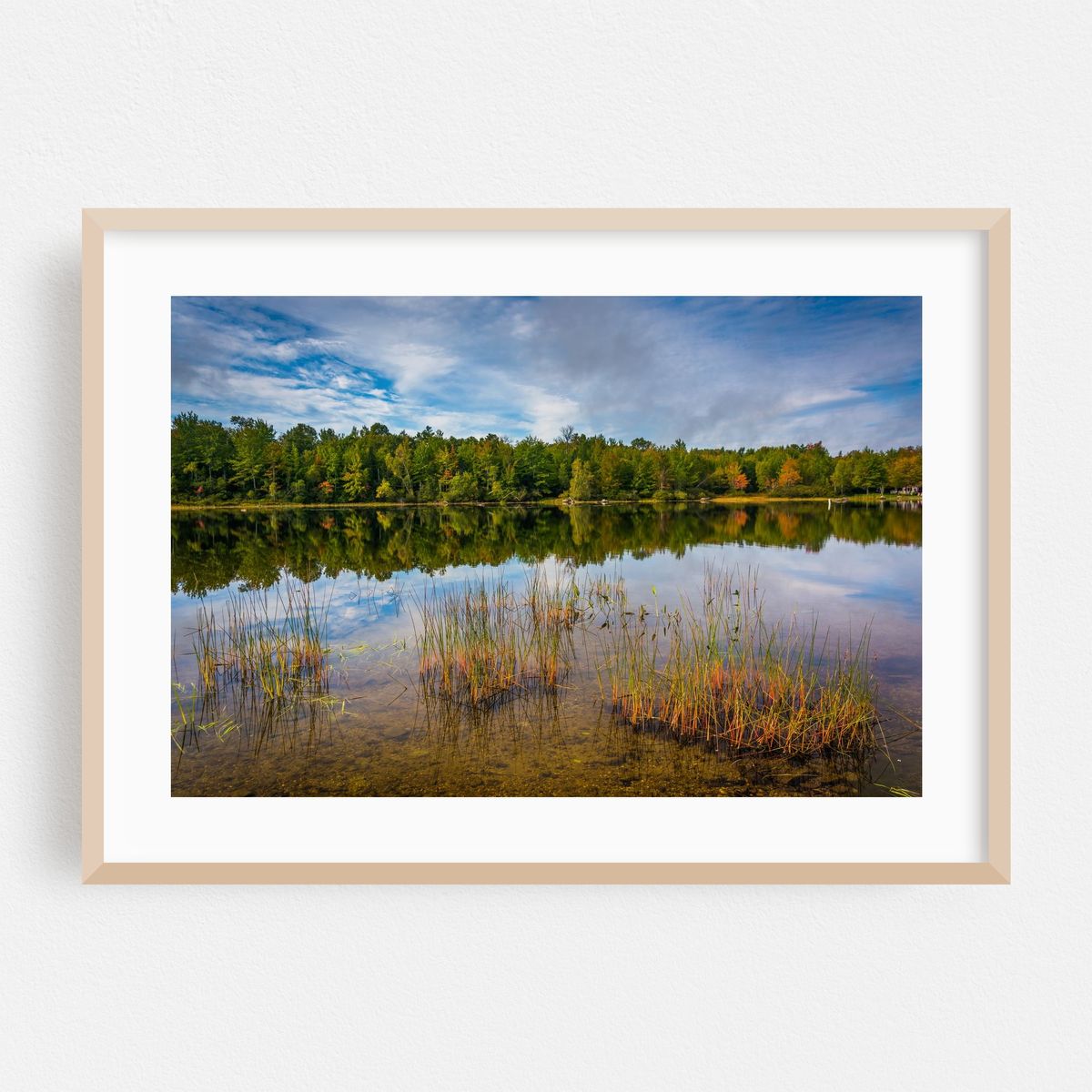 Toddy Pond 02 – image 1 of 6