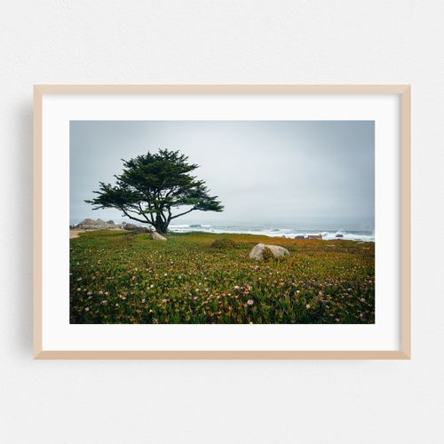 Cloudy Day in Pacific Grove