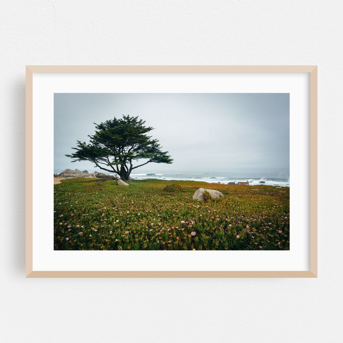 Cloudy Day in Pacific Grove – image 1 of 6