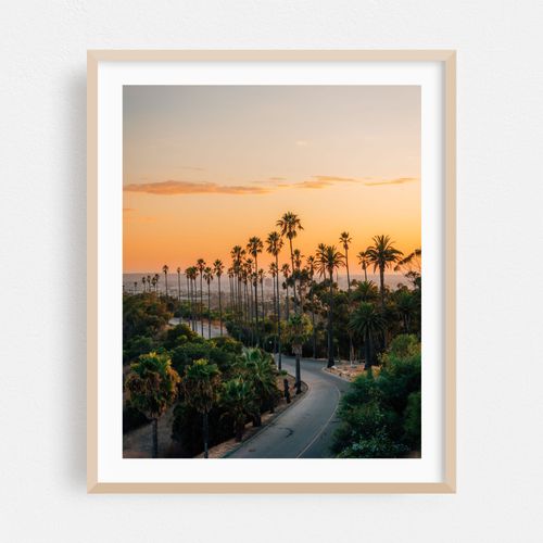 Elysian Park Palms, Los Angeles 02