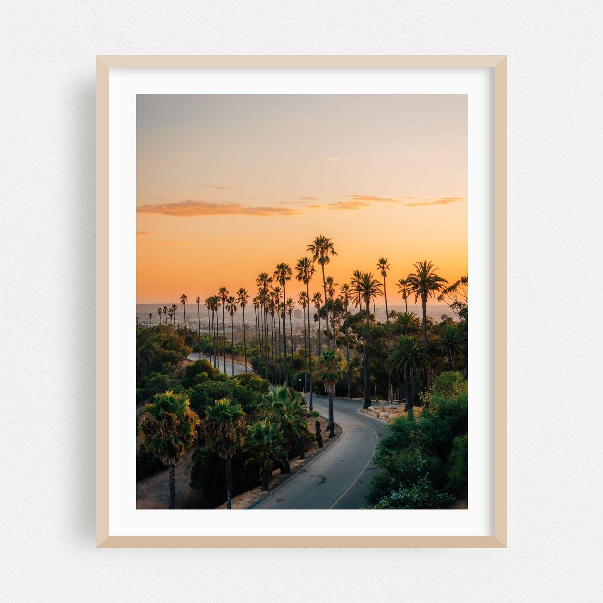 Elysian Park Palms, Los Angeles 02 – image 1 of 12