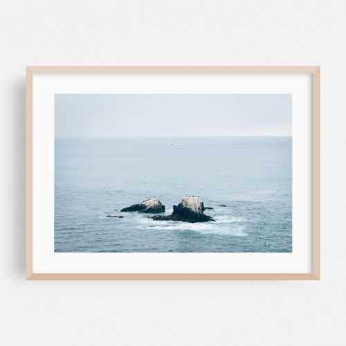 Seal Rock 02