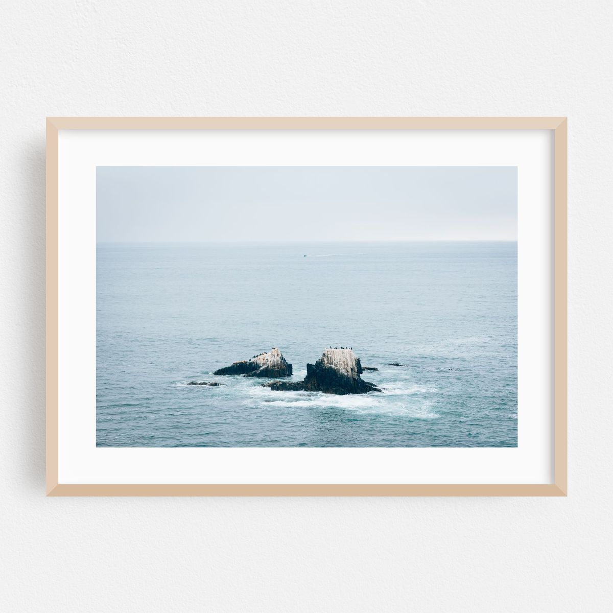 Seal Rock 02 – image 1 of 6