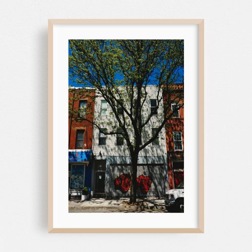Tree Shadows, Astoria