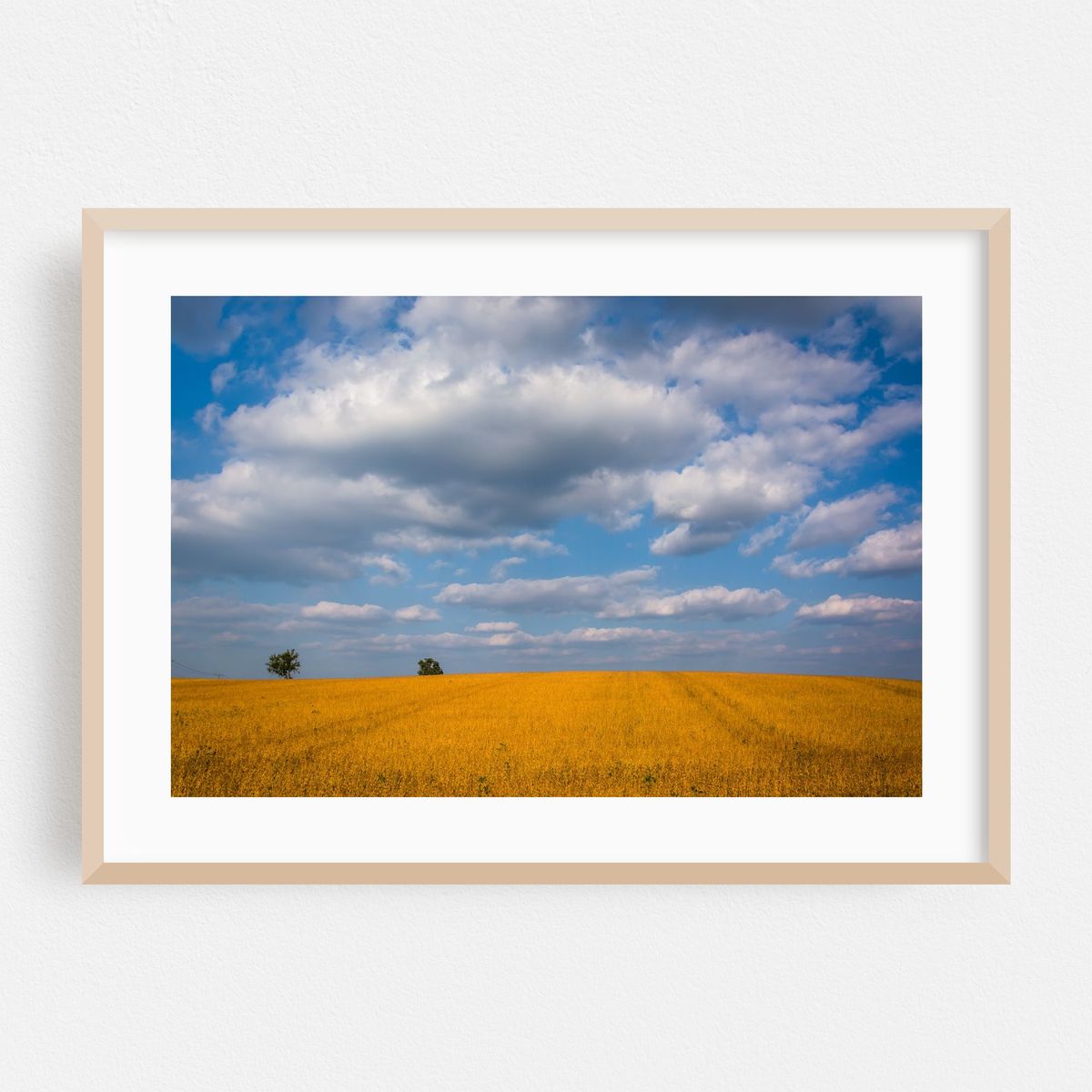 Spring Grove Field – image 1 of 6