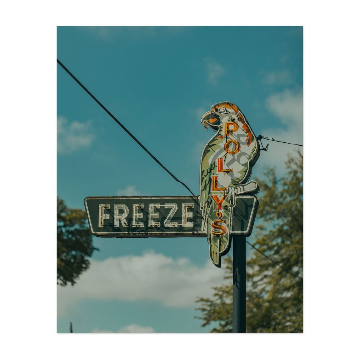 Polly's Freeze – image 1 of 2