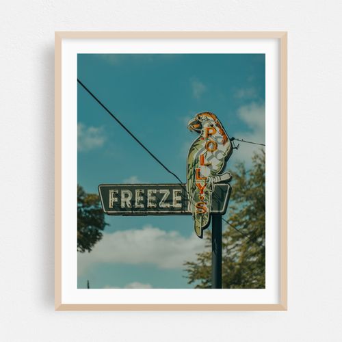 Polly's Freeze