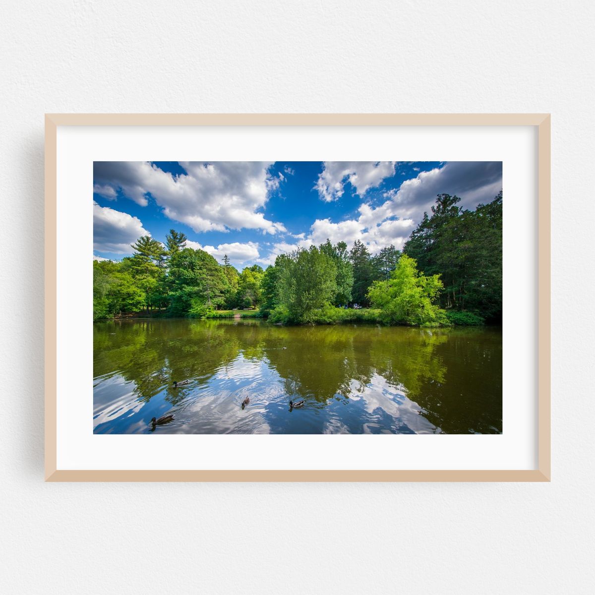 Elizabeth Park – image 1 of 6