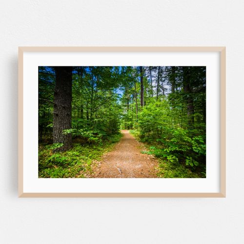Trails