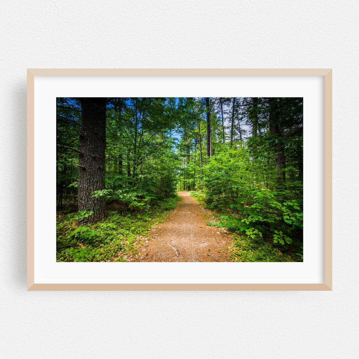Trails – image 1 of 6