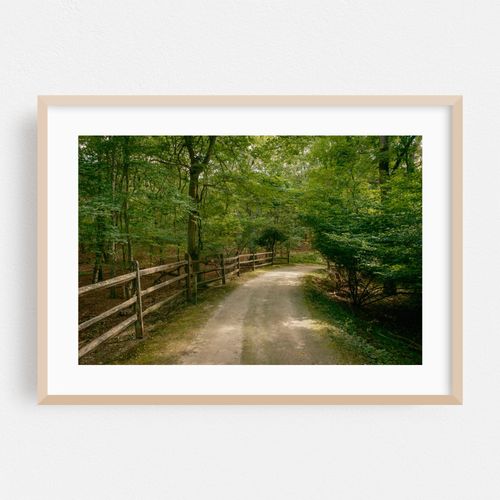 Trail at Hoyt Farm Nature Preserve, Commack 01