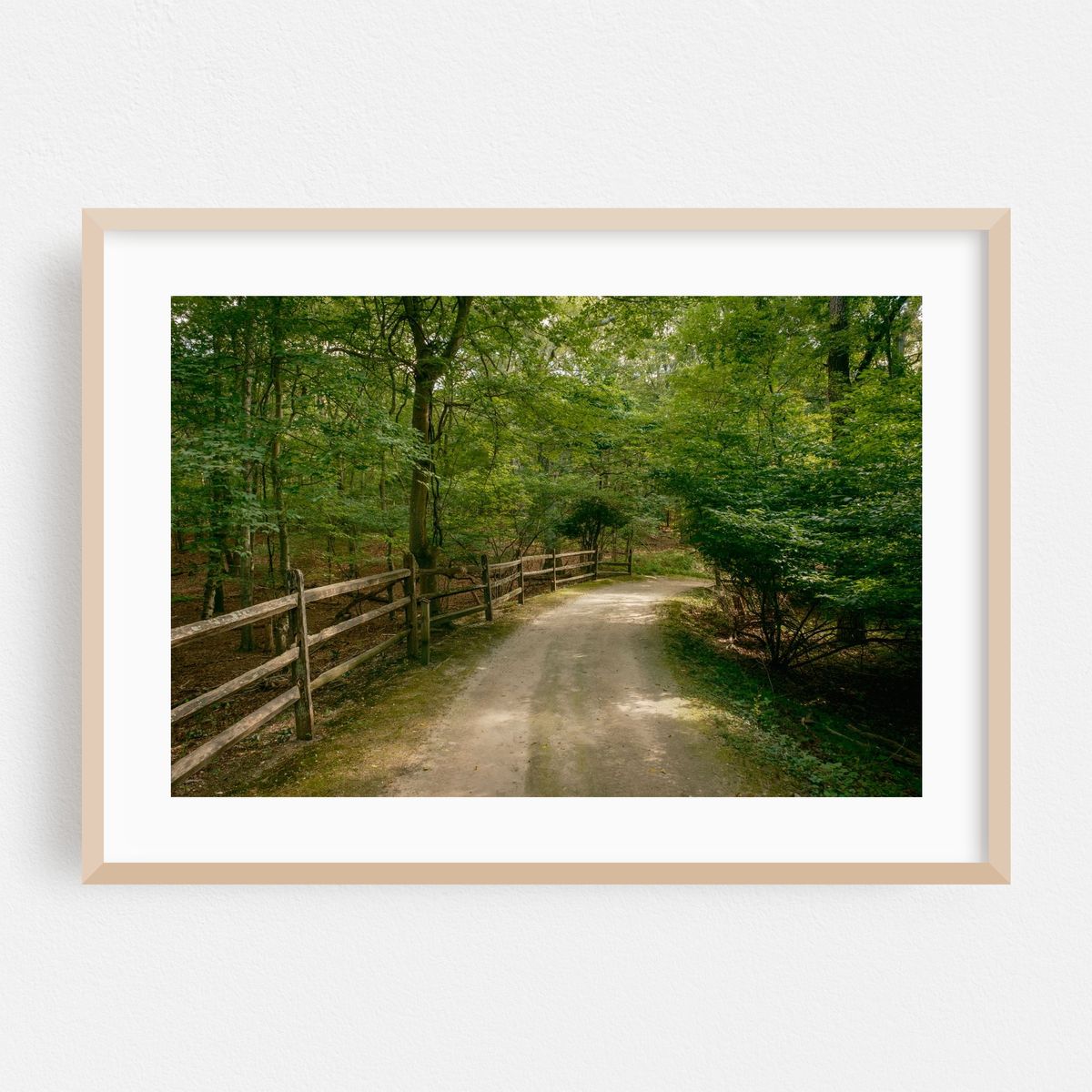 Trail at Hoyt Farm Nature Preserve, Commack 01 – image 1 of 6