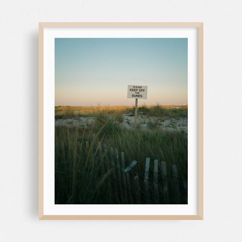 Dunes, Fire Island