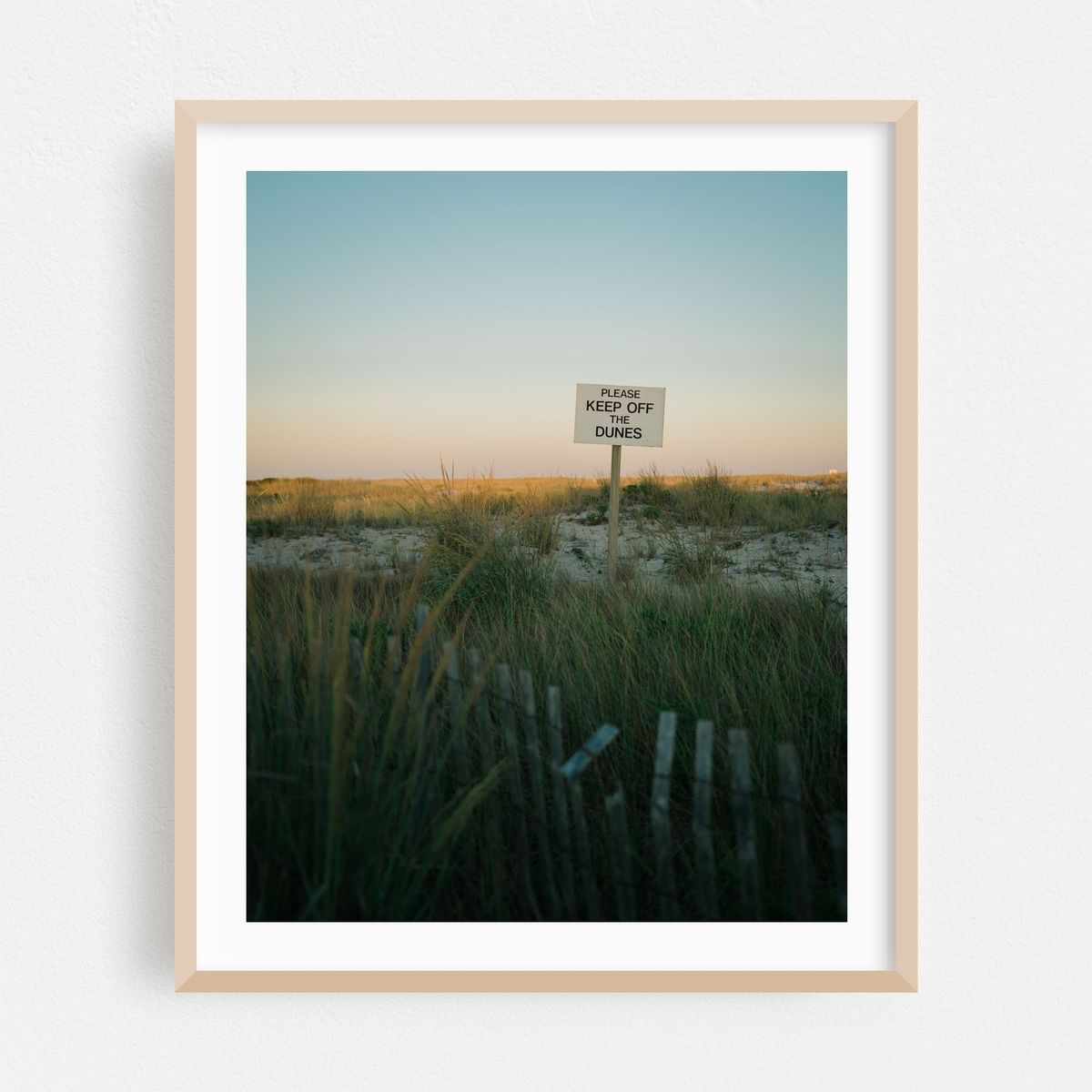 Dunes, Fire Island – image 1 of 16