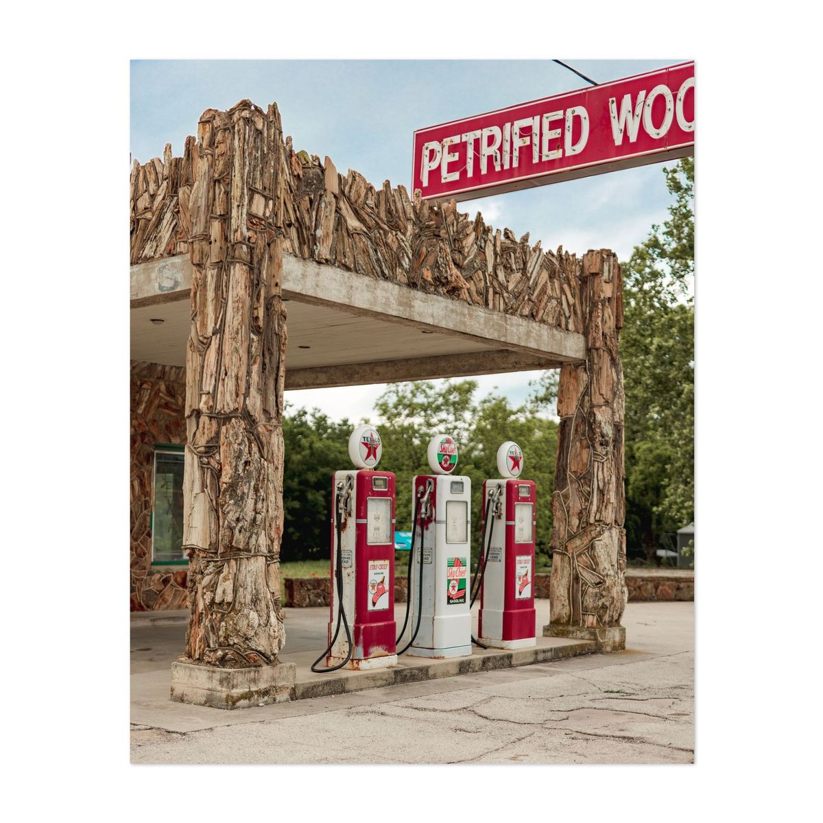 Petrified Wood Station 03 – image 1 of 2