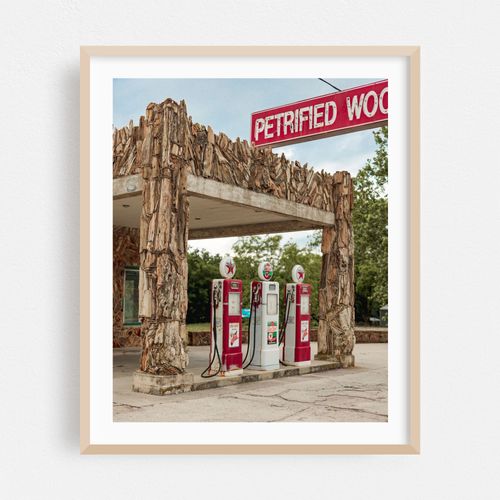 Petrified Wood Station 03