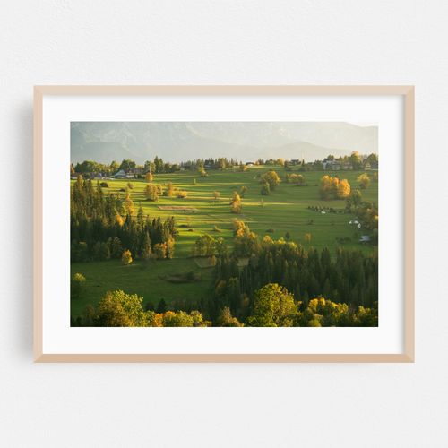 Suche Views 01