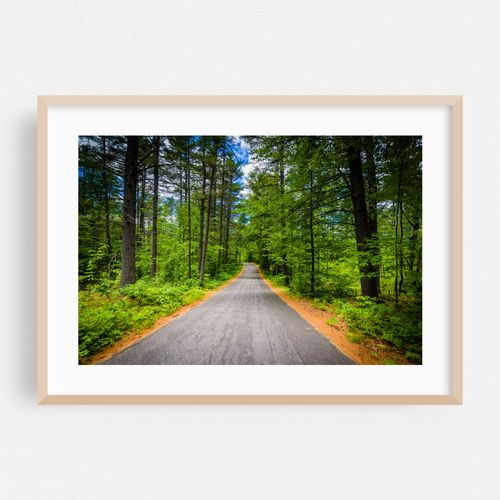 Through Bear Brook