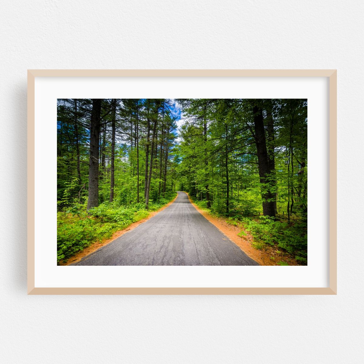 Through Bear Brook – image 1 of 6