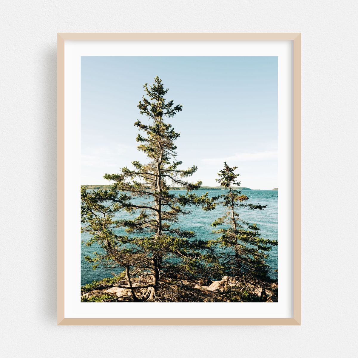 Bass Harbor Pines – image 1 of 12