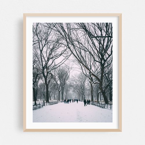 Snowy Central Park 02