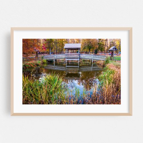 Leesylvania Pond