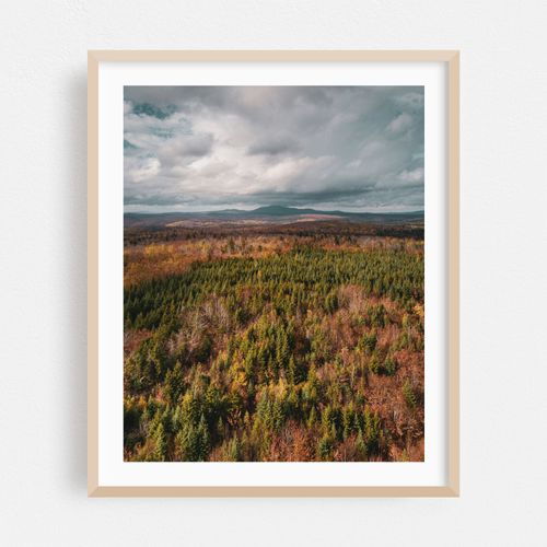 North Woods Autumn 02