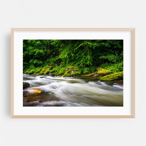 Raven Fork Cascades 02