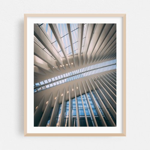 Looking Up, Oculus 01