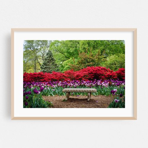 Seated in Sherwood Gardens Park