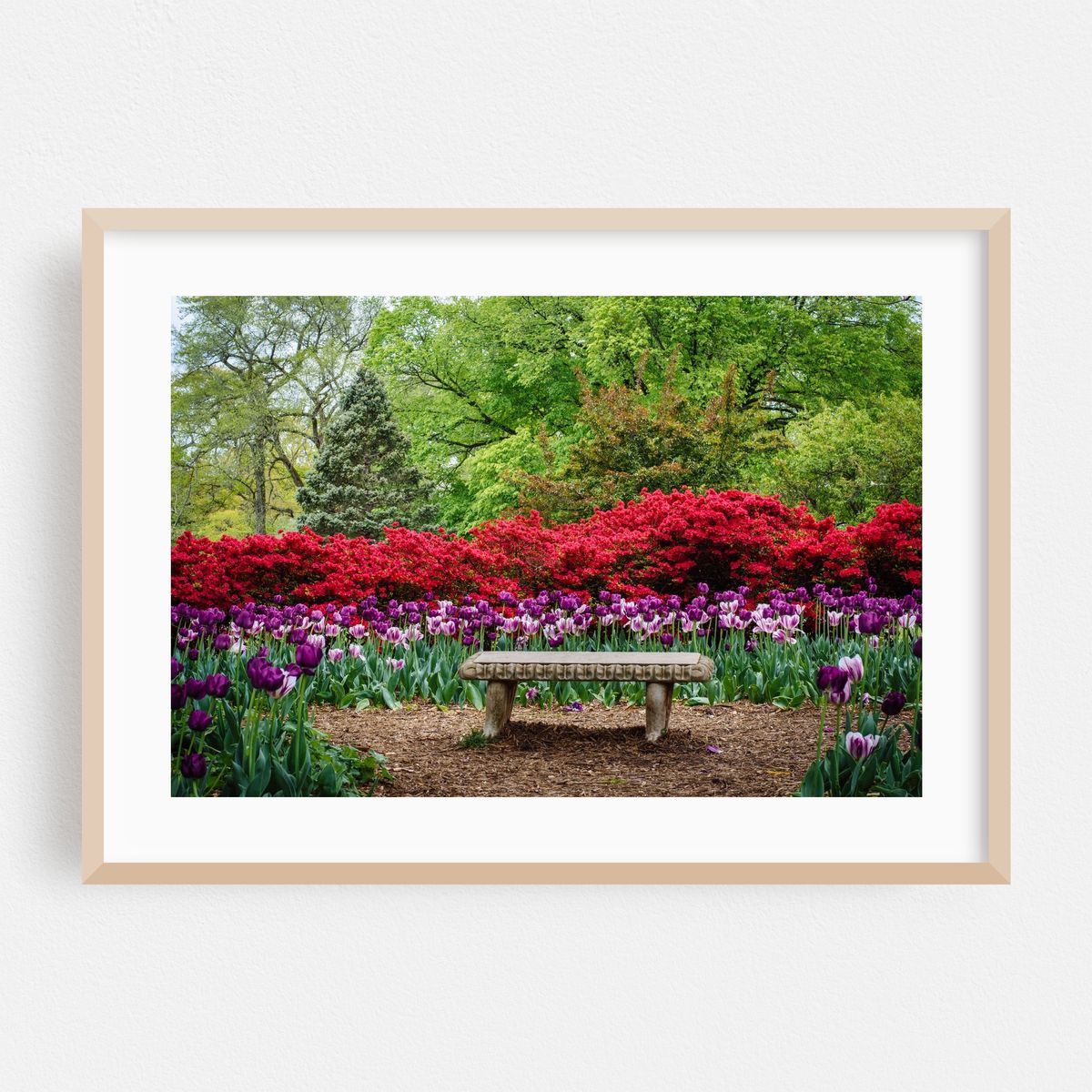 Seated in Sherwood Gardens Park – image 1 of 6