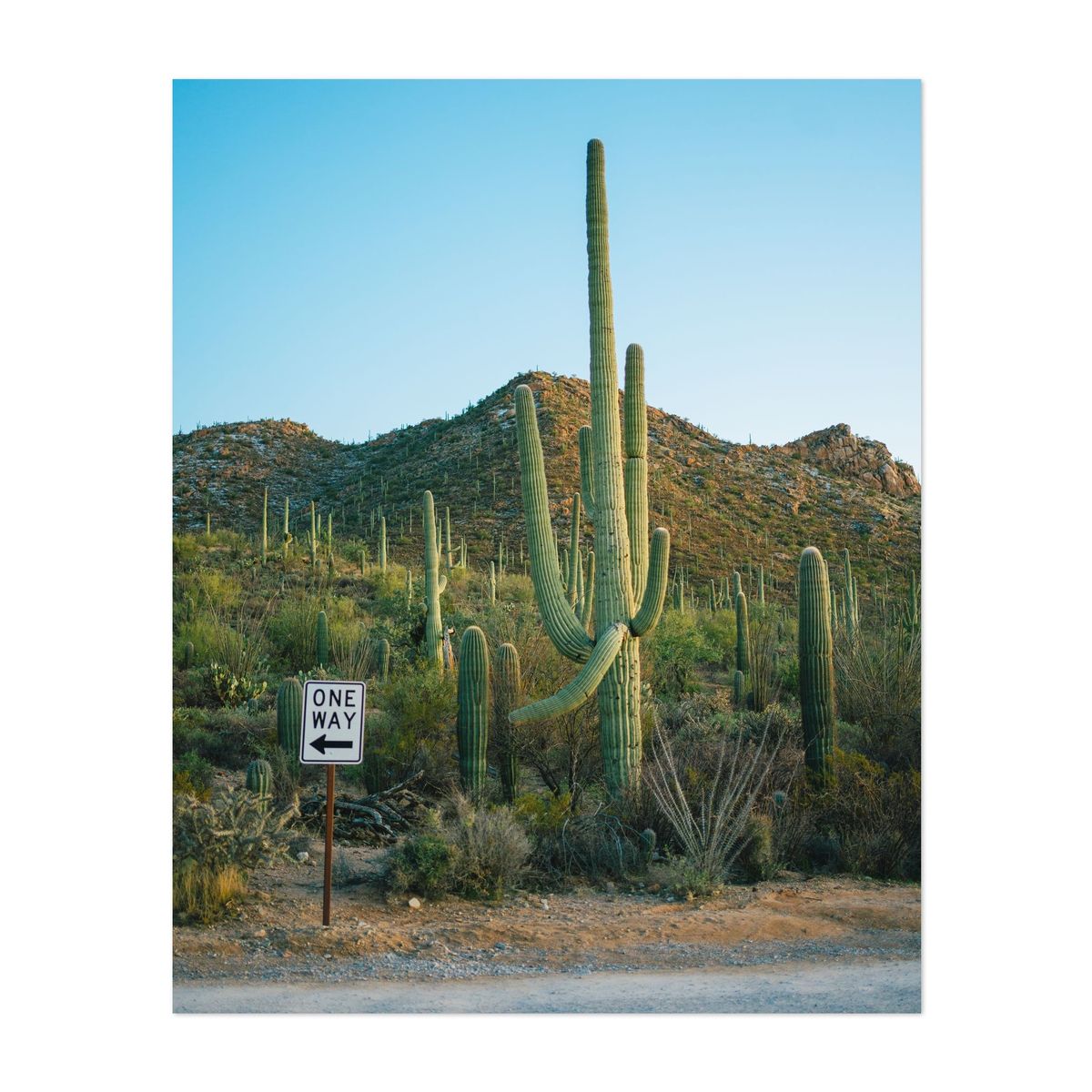 One Way, Saguaro – image 1 of 2