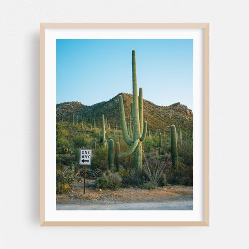 One Way, Saguaro
