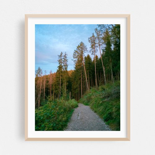 Descent, Zakopane