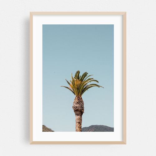 Lone Palm