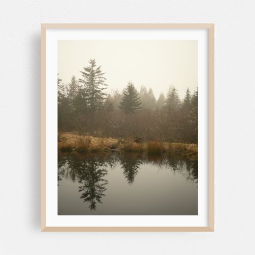 Pond on Beals Island
