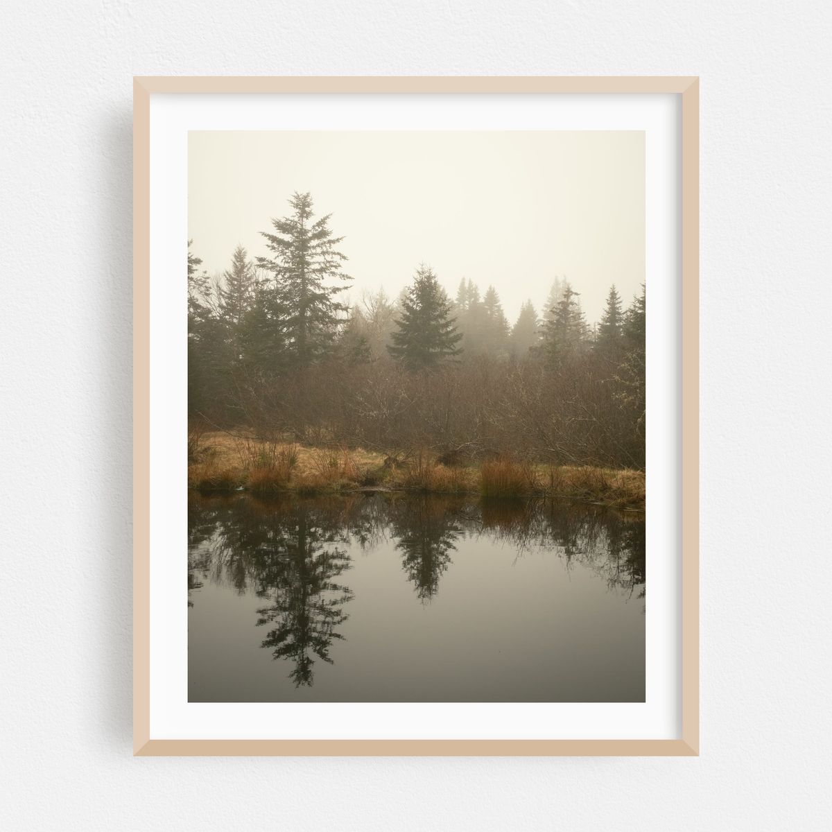 Pond on Beals Island – image 1 of 12