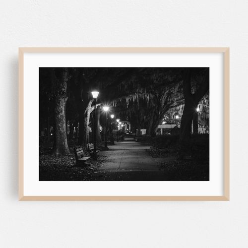 Spanish Moss B&W