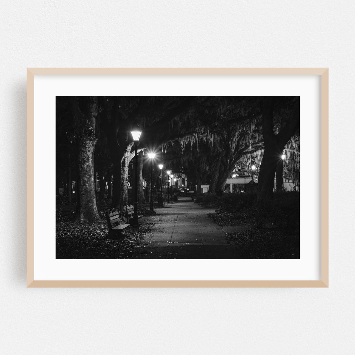 Spanish Moss B&W – image 1 of 6