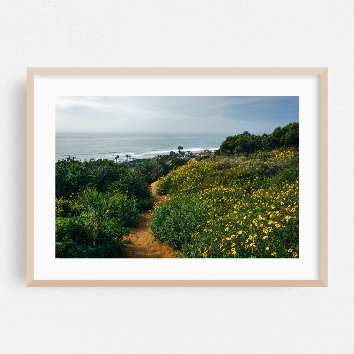 Leads to Sunshine – image 1 of 6