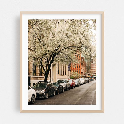 Stuyvesant Street, East Village 03