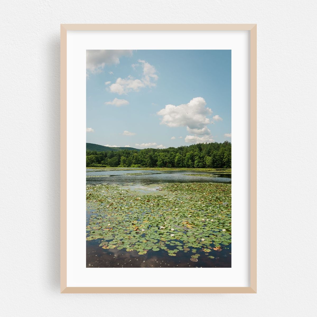 Laurel Lake, Pine Grove Furnace 01 – image 1 of 16