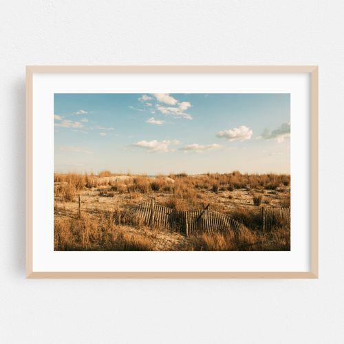 Sand Dunes in Ventnor City