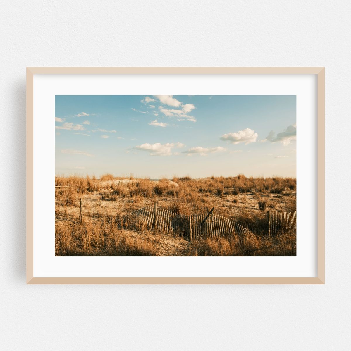 Sand Dunes in Ventnor City – image 1 of 6