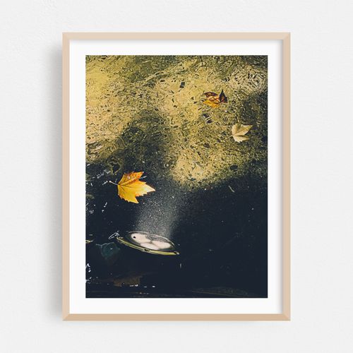 Autumn Leaves in Water 01