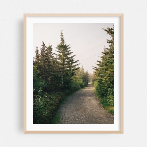 Trail in Ferryland