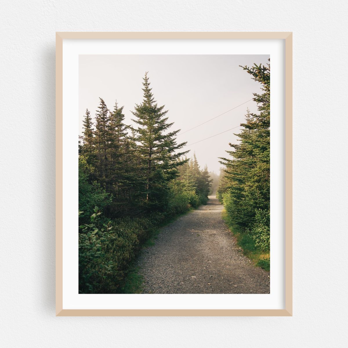 Trail in Ferryland – image 1 of 12