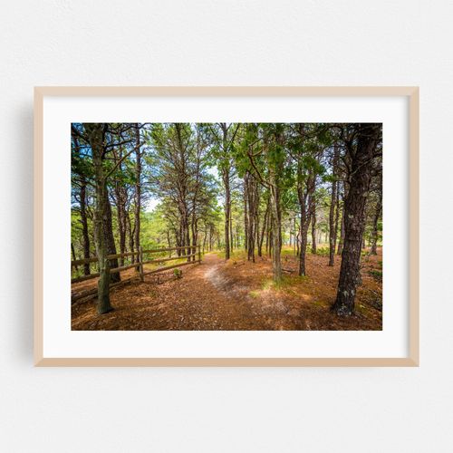 Uncle Tim's Island, Wellfleet 01