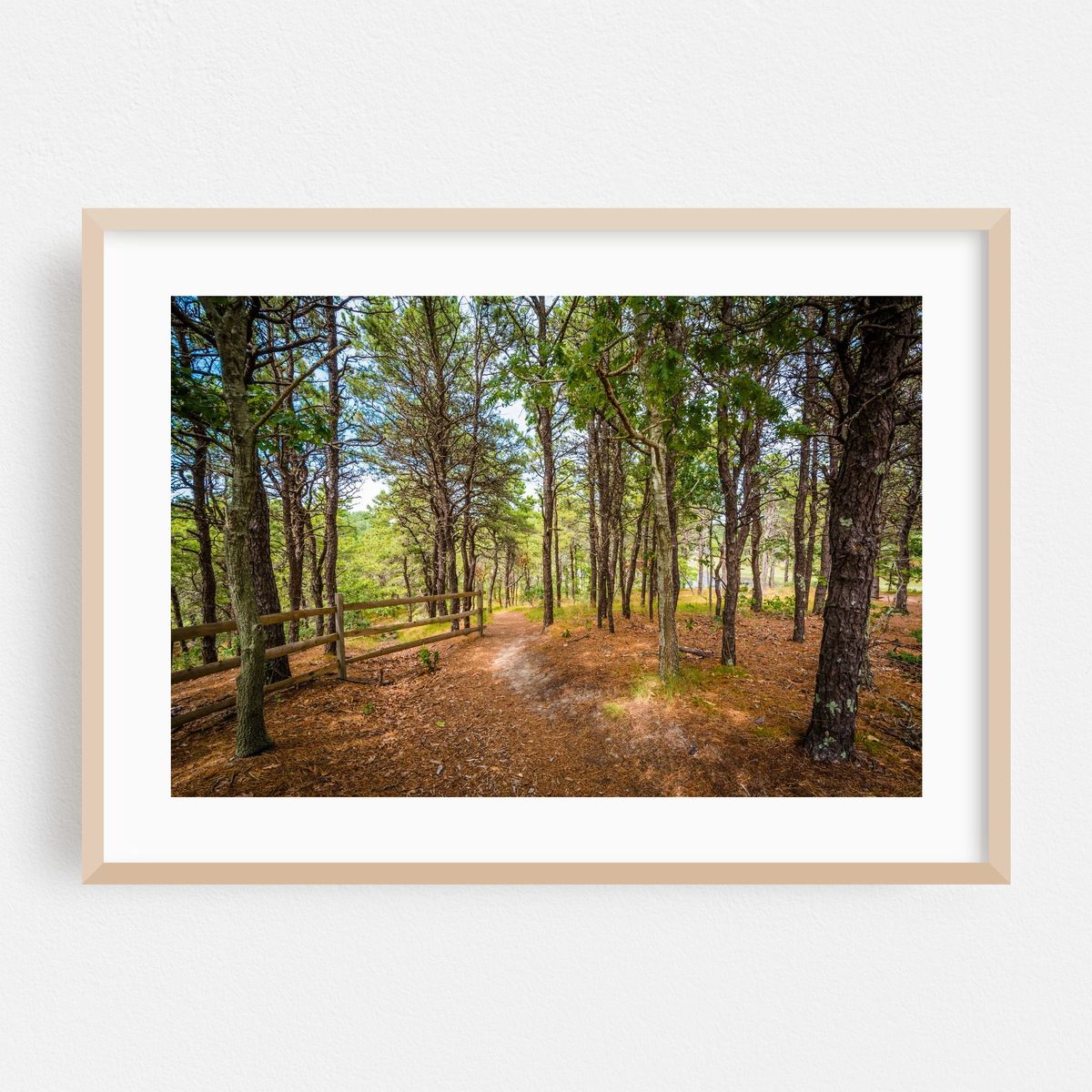 Uncle Tim's Island, Wellfleet 01 – image 1 of 6